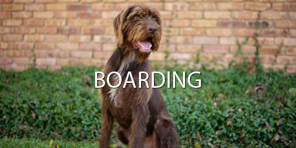 boarding